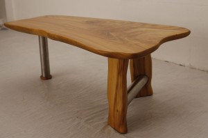 Camphor Laurel and Stainless Steel