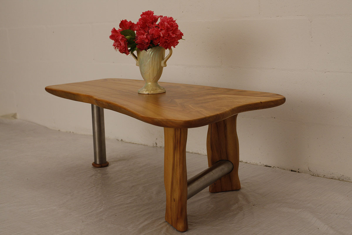 Camphor Laurel and Stainless Steel