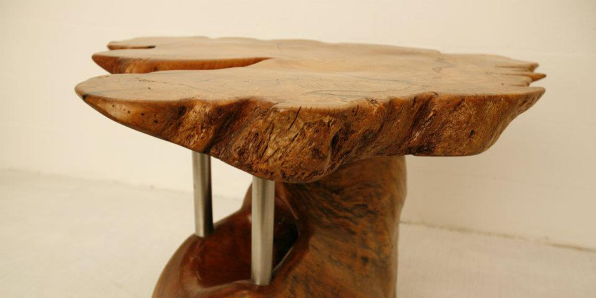 Cedar Top on Spotty Gum